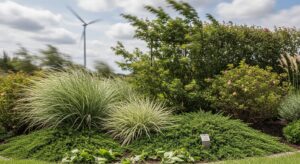 Jakie rośliny najlepiej nadają się do ogrodu na wietrznej działce?